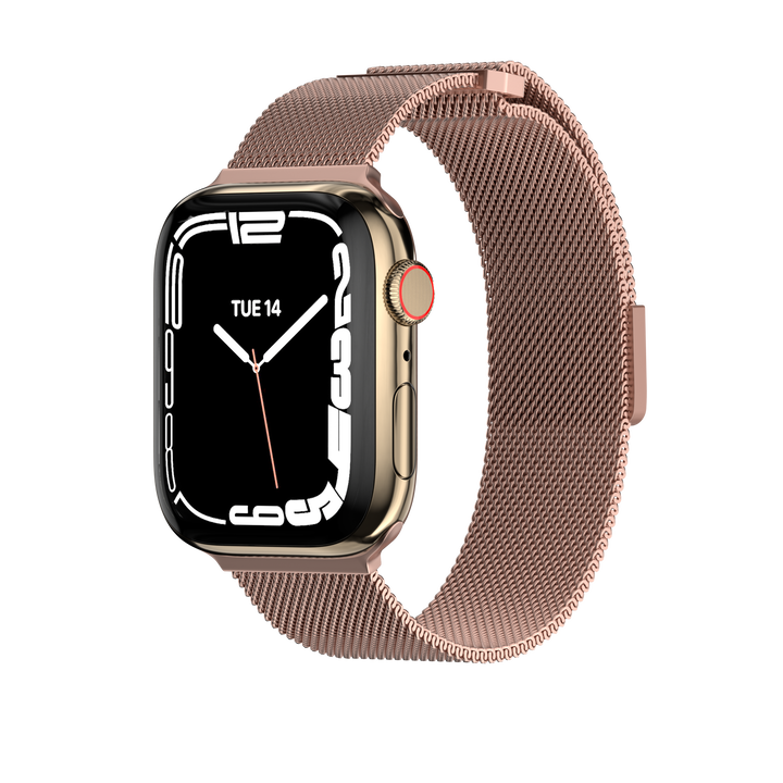 Mesh Stainless Steel Apple Watch Loop